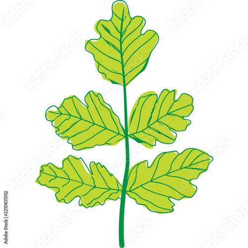 Green hand drawn leaf illustration for nature growth and environment design