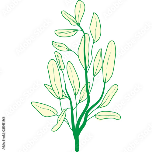 Minimalist green branch with yellow leaves for organic nature decor illustration