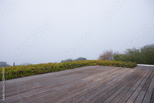 Weathered wooden deck angling toward succulent groundcover, dark posts and white trim, fog settling
