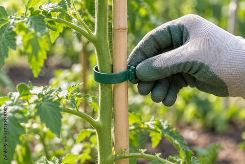 Reusable plant clip secures stem to bamboo stake