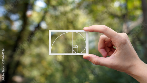hand holding a composition grid with golden section, balance, composition, harmony