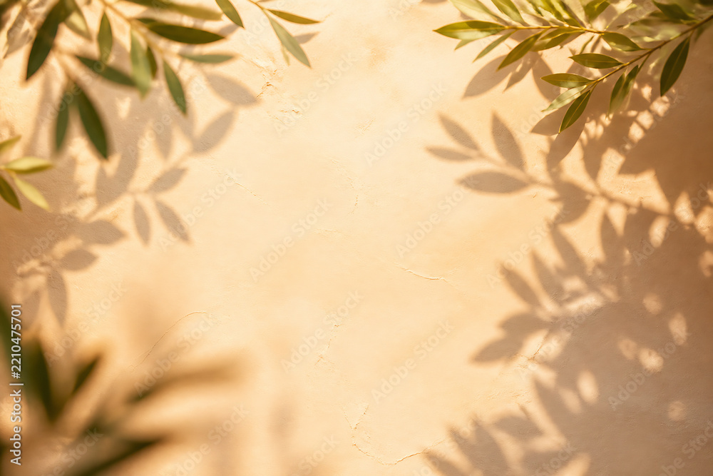 Fototapeta premium Sunlight filters through leaves casting dappled shadows onto a plain, warm-toned wall.