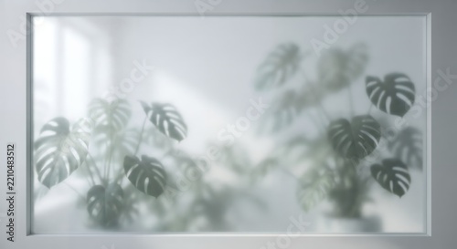 Frosted glass window overlooking lush monstera houseplants in sunny room.