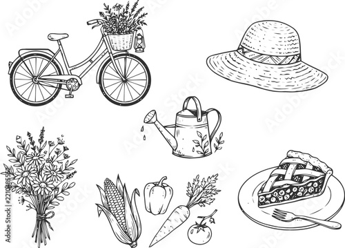 Hand drawn summer elements with a bicycle flowers vegetables and fruit pie Vector