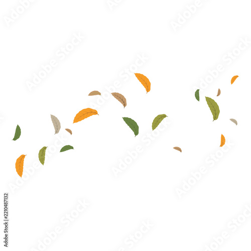 autumn Leaf background concept template vector