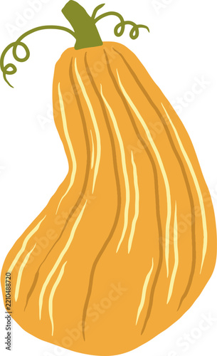 Bright Orange Autumn Gourd Illustration