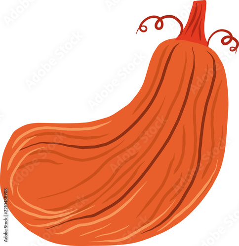 Curved Red Orange Autumn Gourd