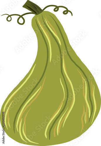 Olive Green Autumn Gourd Illustration