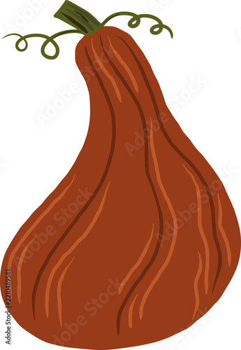 Dark Orange Autumn Gourd Illustration