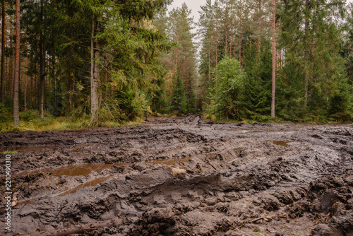 Severely rutted muddy forest road after logging and heavy machinery traffic