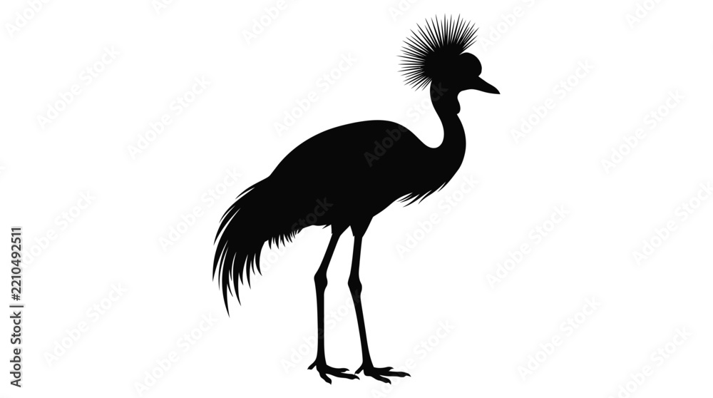 Obraz premium Grey crowned crane silhouette against a white background