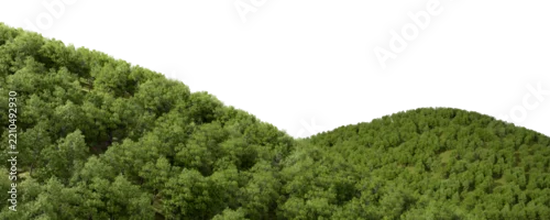 Panel kuchenny z motywem Evergreen forest mountain terrain on transparent background 3d render png