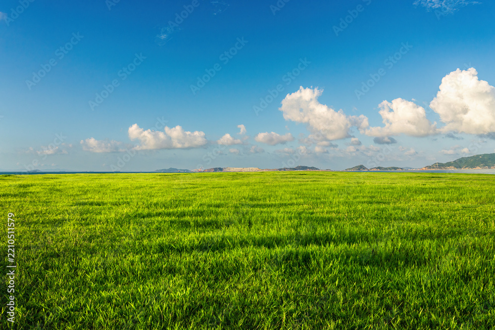 Obraz premium Expansive Green Landscape Under a Clear Blue Sky with Fluffy Clouds