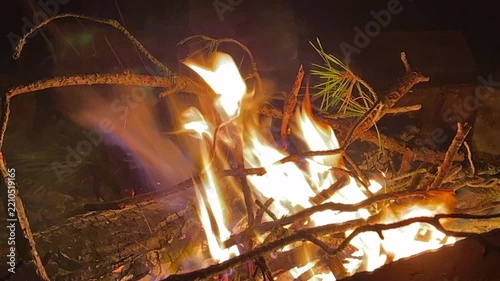 branches are burning in the fire	
