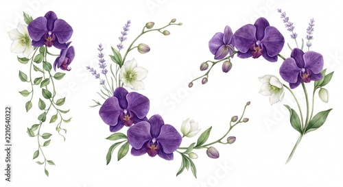 Set of three watercolor purple orchid flower arrangements with white hellebore blossoms and lavender stems watercolor orchids purple flowers floral arrangement