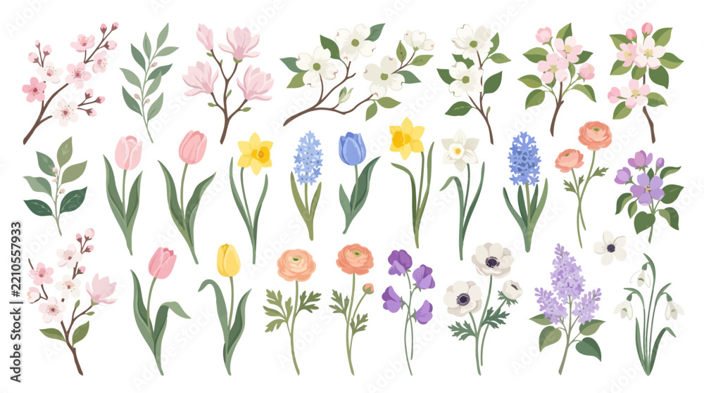 Fototapeta premium Spring Floral Collection: Blossoms, Tulips, Daffodils, Hyacinths, Ranunculus, Anemones