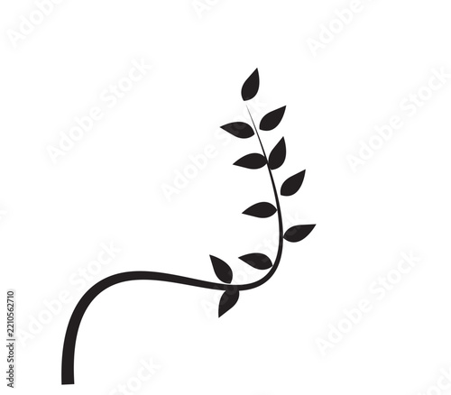 vector illustration of a leaf