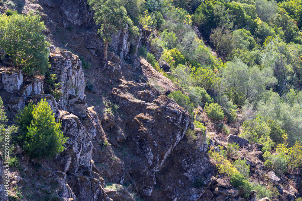Fototapeta premium Zêzere river rocky cliff and forest landscape