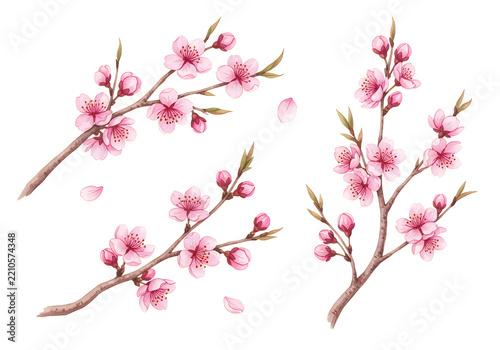 Pink cherry blossom branches with flowers