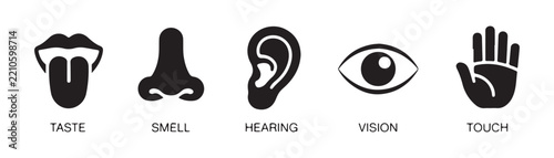Five human senses icons representing taste smell hearing vision and touch for educational projects.
