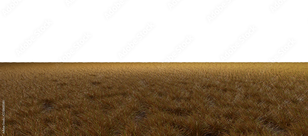 Obraz premium African arid savannah grassland fields cut-out backgrounds 3d rendering png