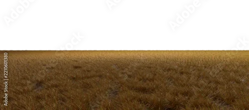Panel kuchenny z motywem African arid savannah grassland fields cut-out backgrounds 3d rendering png