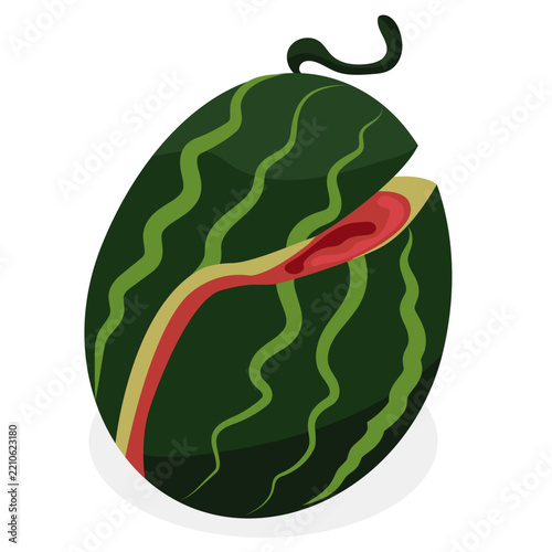 cracked watermelon fruit crack vector.