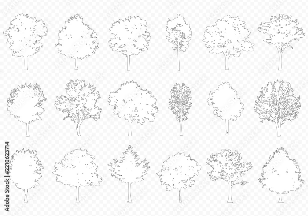 Fototapeta premium Vector trees in elevation view for use in architectural drawings isolated on transparent background