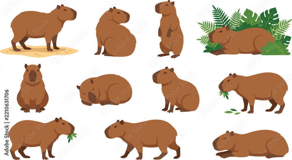 Obraz premium Cute Capybara Character Pose Vector Collection Set for Wildlife Education and Animal Graphic Designs