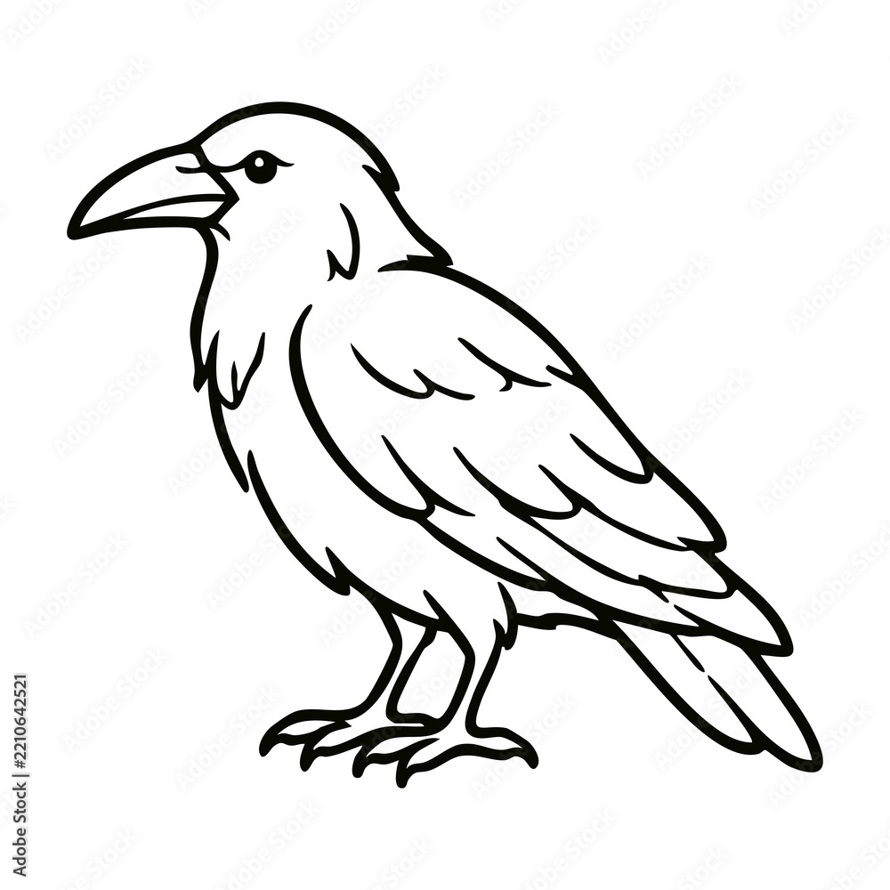 Obraz premium Standing Black Raven Crow Line Art Vector Icon - Great for Halloween Spooky Atmosphere, Haunted House Poster, Card, and Sticker Design