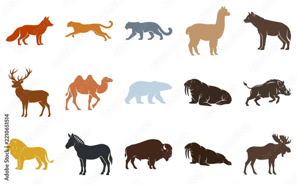 Obraz premium Set of wild animal icons including fox cheetah llama wolf deer camel bear walrus boar lion zebra Vector