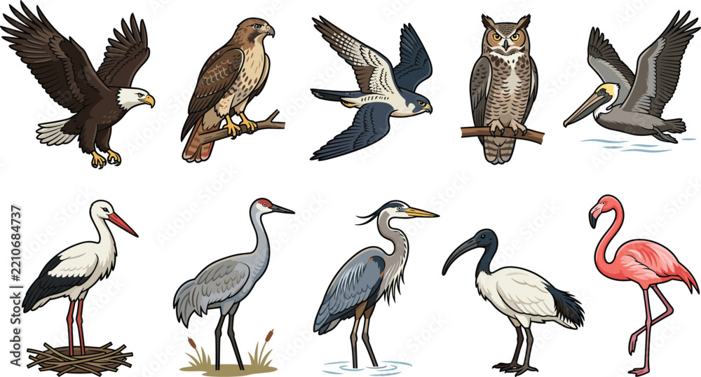 Obraz premium Birds of Prey and Waterfowl Vector Set Featuring Bald Eagle Owl Falcon Flamingo Heron and Stork for Nature Conservation Projects Wildlife Graphics and Educational Designs