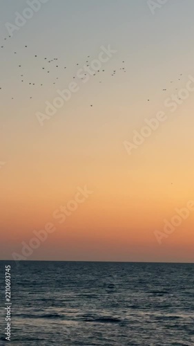 Sunset view at Issyk-Kul lake in Kyrgyzstan with birds in the sky