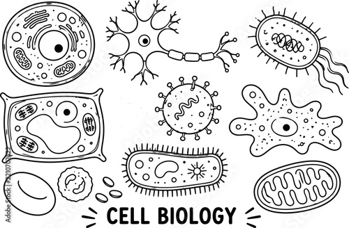Hand drawn cell biology set, educational science icons collection, black and white vector illustration, coloring page element