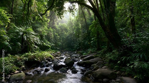 A serene tropical rainforest with a clear stream flowing over mossy rocks  surrounded by dense green foliage and towering trees