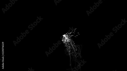 Abstract White Particle Trails and Glowing Light Lines on Black Background. 4k motion videos