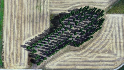 Aerial view of De Groene Kathedraal in Almere, the Netherlands