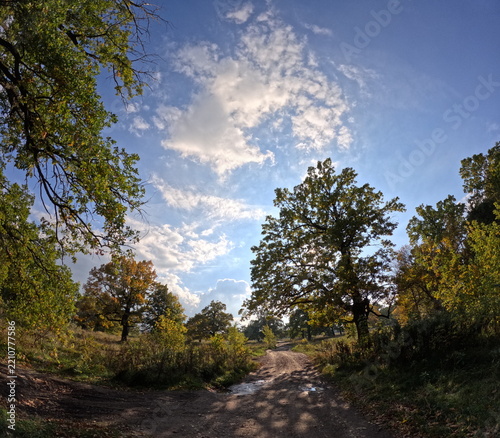 autumn in the park
