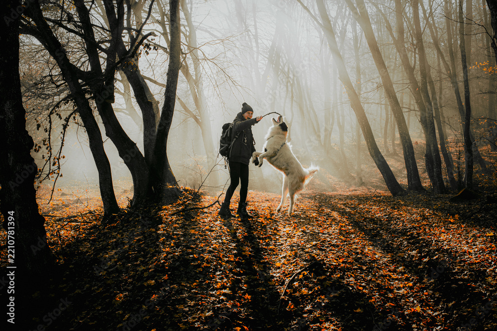 Obraz premium woman and dog strolling in beautiful foggy forest in autumn