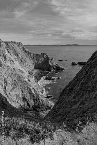 Dramatic black and white vertical view of rugged rocky ocean cliffs at Bodega Head