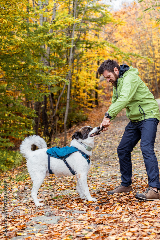 Obraz premium happy white dog with owner in autumn forest