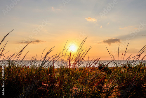 Sunrise and Beach Grasses 