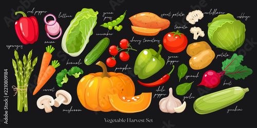 Fresh Autumn Vegetable Harvest Set with Labeled Farm Produce, Pumpkin, Tomatoes, Bell Peppers, Cabbage, Root Vegetables and Leafy Greens, Organic Seasonal Food Collection for Farmers Market, etc