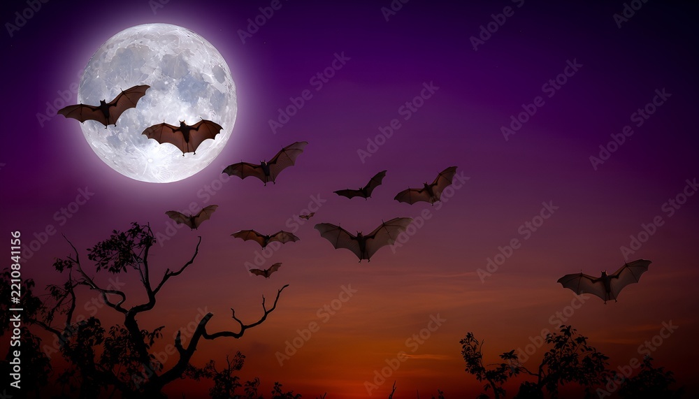 Fototapeta premium Silhouetted Bats Flying Across a Large Full Moon in a Vibrant Purple and Orange Sunset Sky