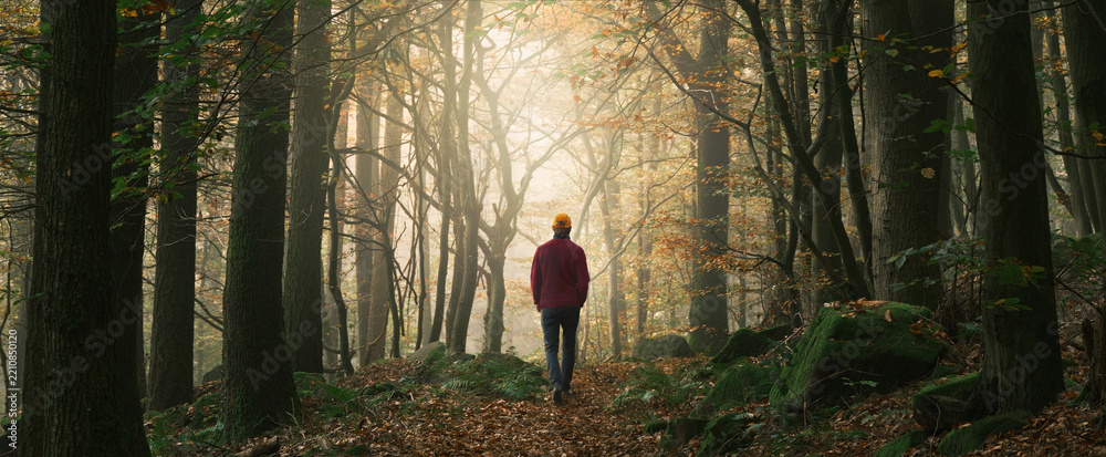 Obraz premium Hiker walking into the light in a fairy tale dreamy scene in a forest with a soft beam in the fog. A panoramic autumn landscape shot with beautiful magical mood 