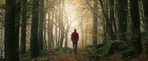 Panel kuchenny z motywem Hiker walking into the light in a fairy tale dreamy scene in a forest with a soft beam in the fog. A panoramic autumn landscape shot with beautiful magical mood  