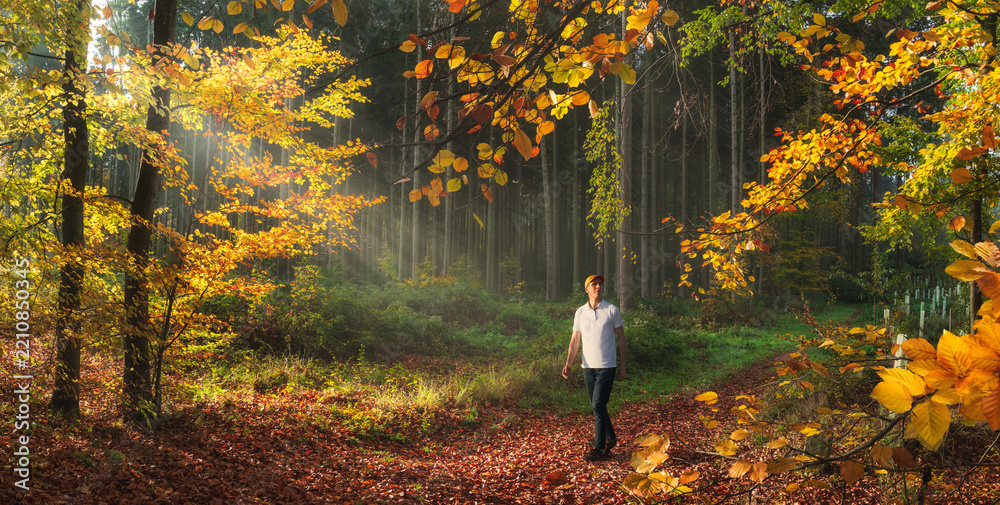 Obraz premium Young Man enjoying a walk on a picturesque forest path on a sunny warm autumn day