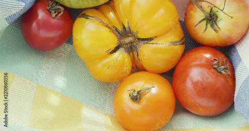 Yellow, green and red tomato in a colourful kitchen towel. Agricultural industry and farming.	

