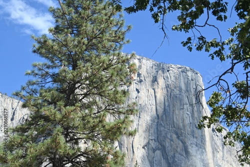 breathtaking Yosemite