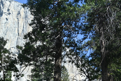 breathtaking Yosemite